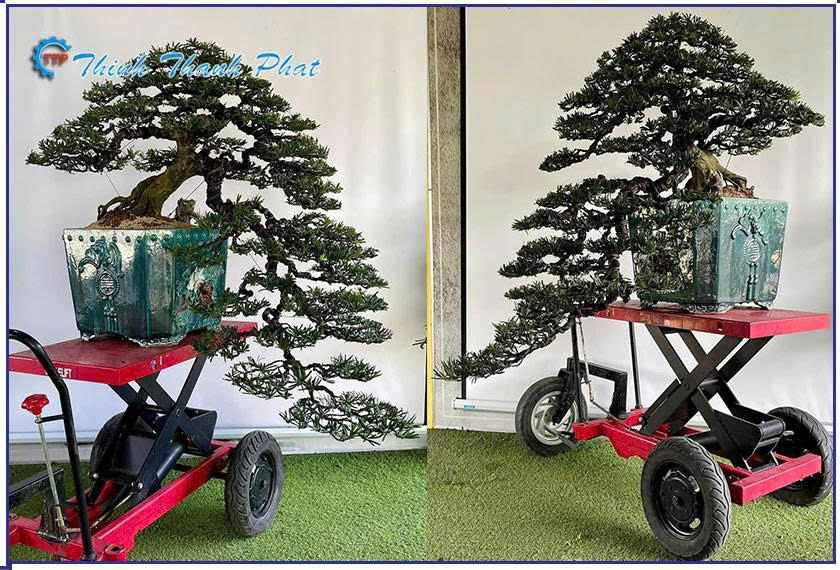 ban-nang-thuy-luc-350kg-day-tay